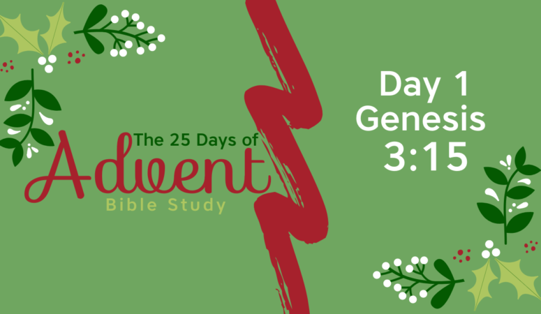25 Days of Advent Bible Study Series {Day 1}