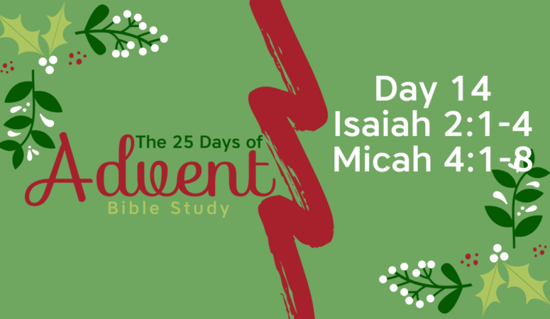 25 Days of Advent Bible Study Series {Day 14}