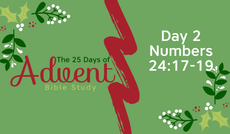 25 Days of Advent Bible Study Series {Day 2}
