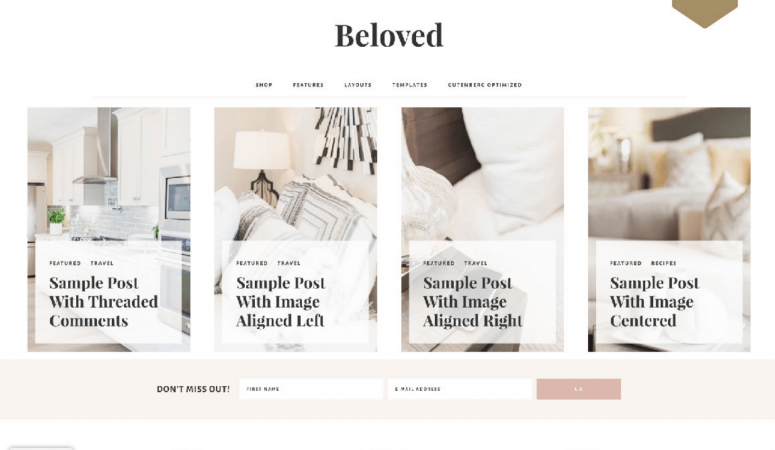 Beloved Theme Review – Restored 316 Themes